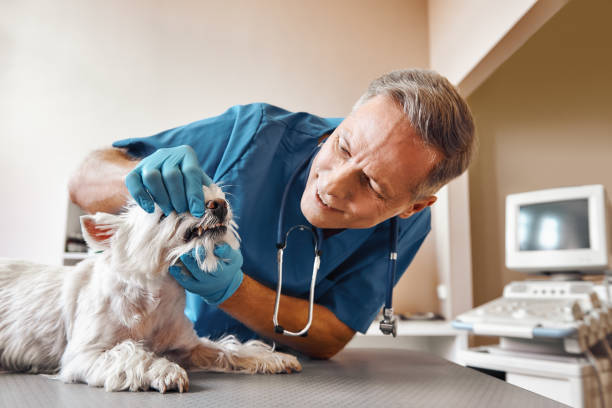 Best Weekend Emergency Dentist in Richland Hills, TX